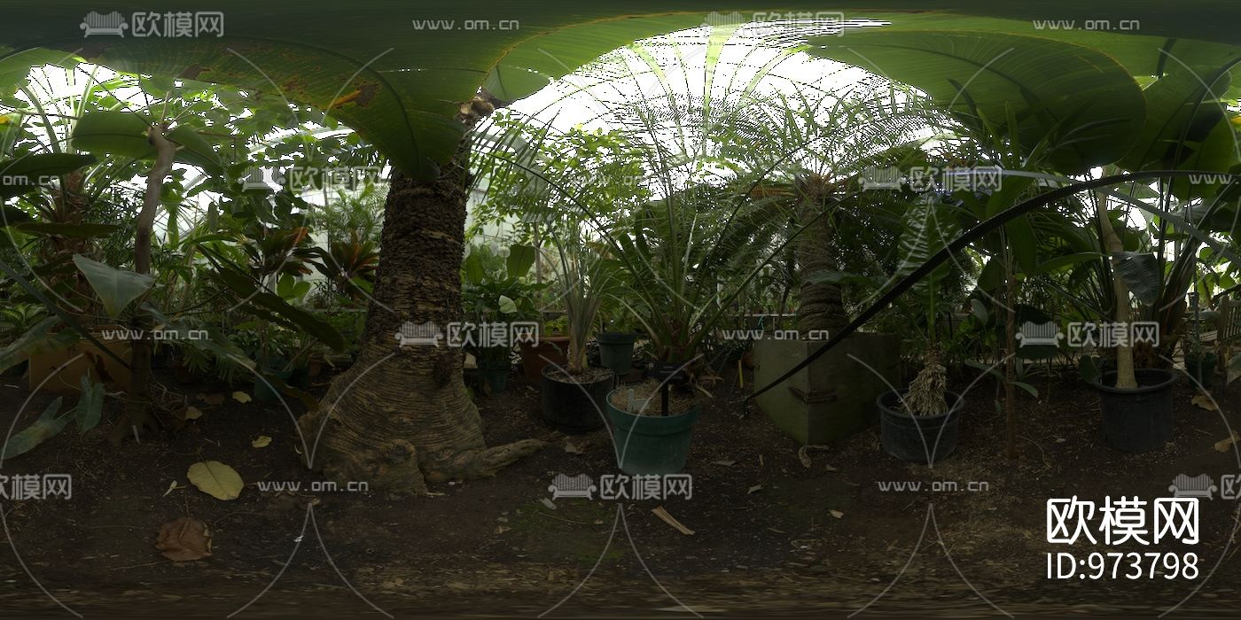 庭院绿植盆栽hdr外景贴图下载