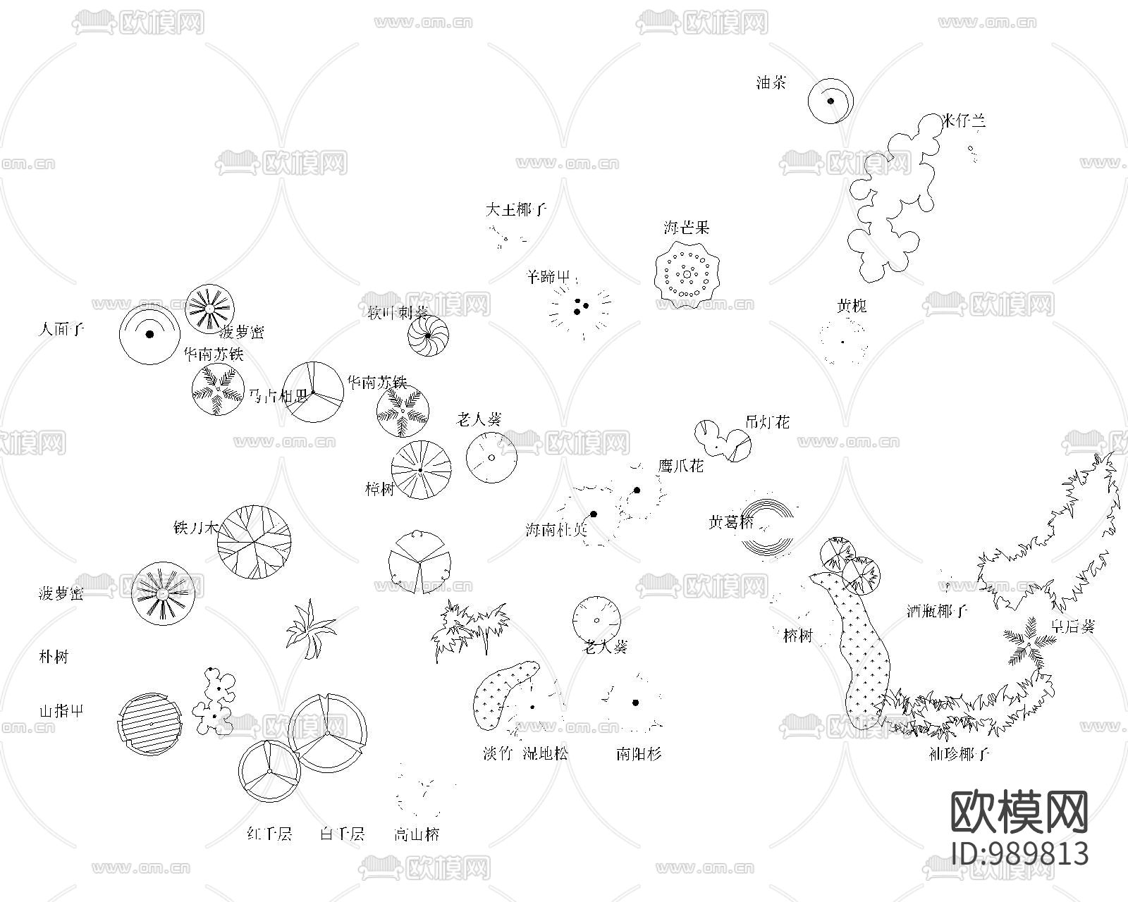 景观植物汇总图库下载（渲染图1）
