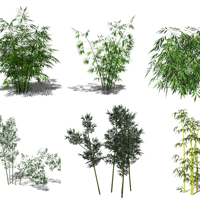  现代景观竹子su模型 