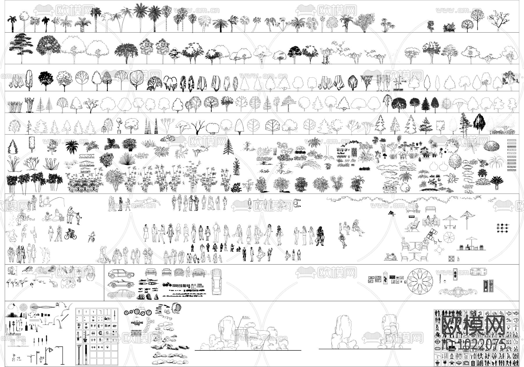 园林景观植物立面下载