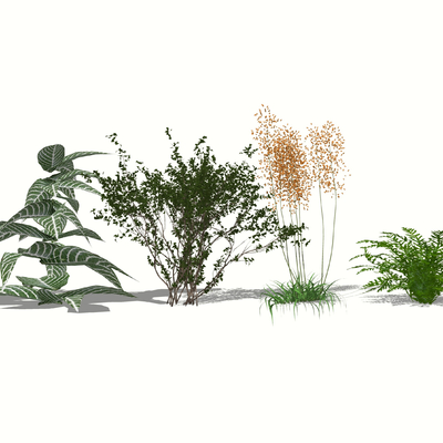  现代花草绿植su模型 