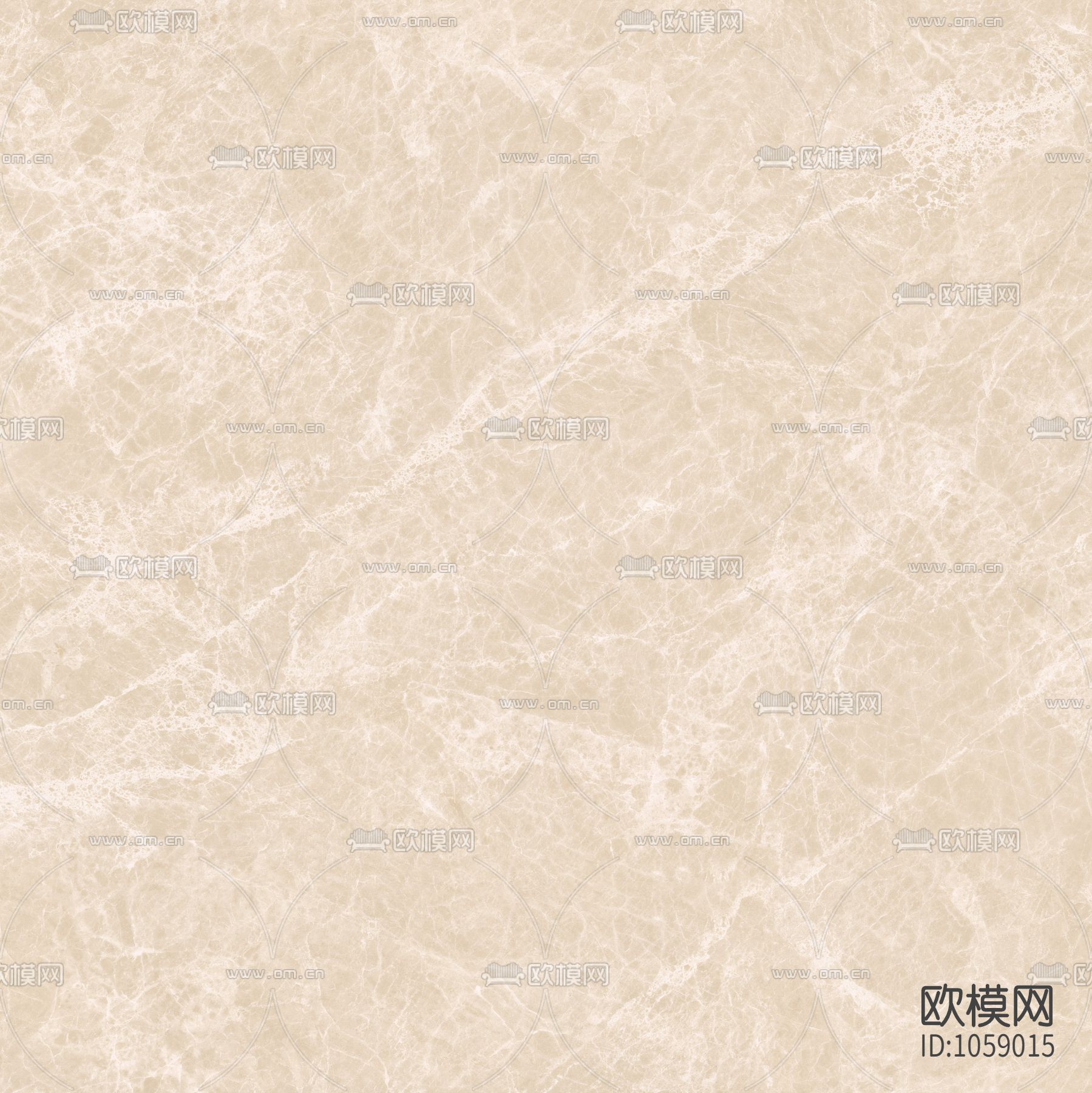 白玉兰