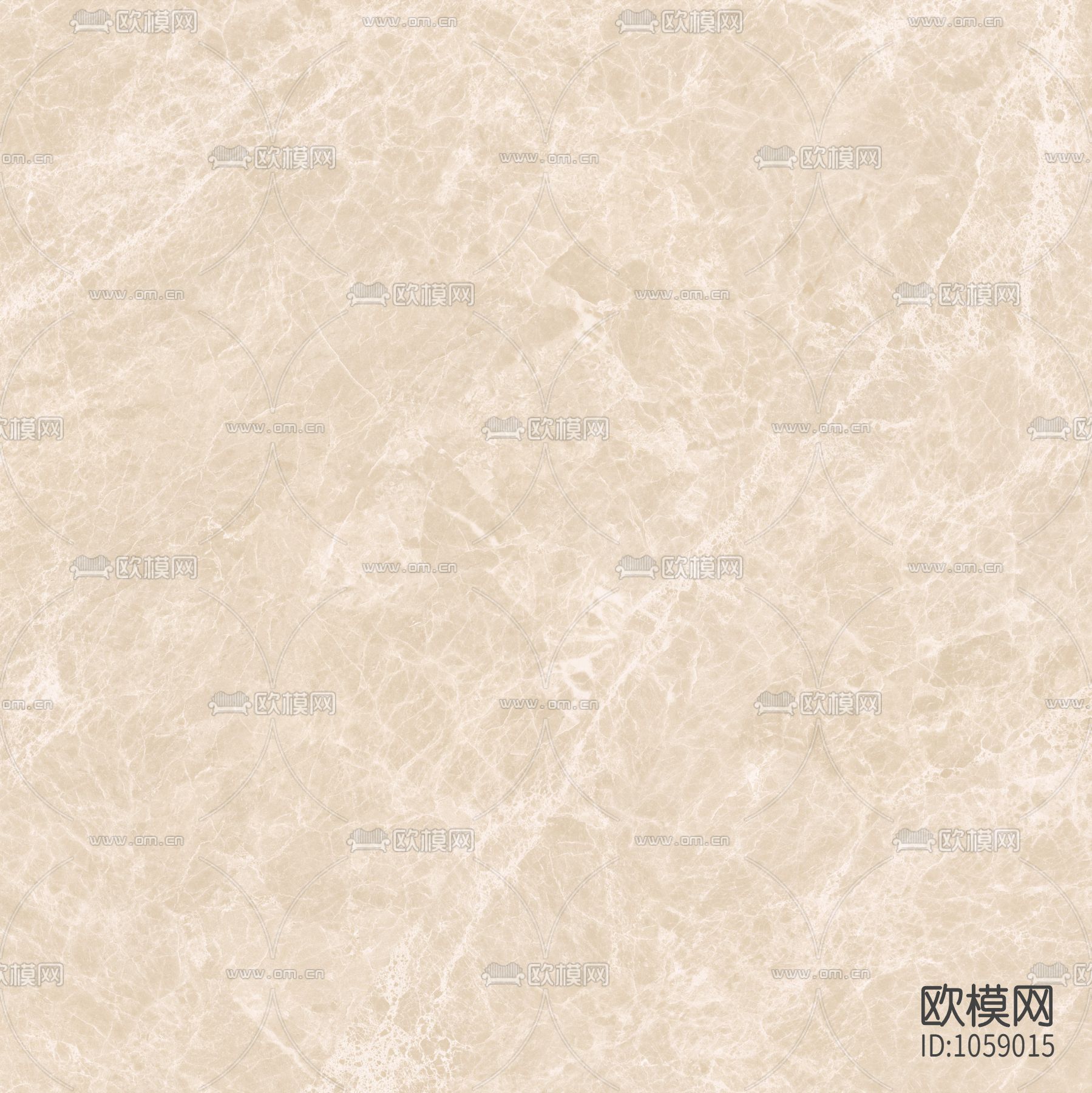 白玉兰