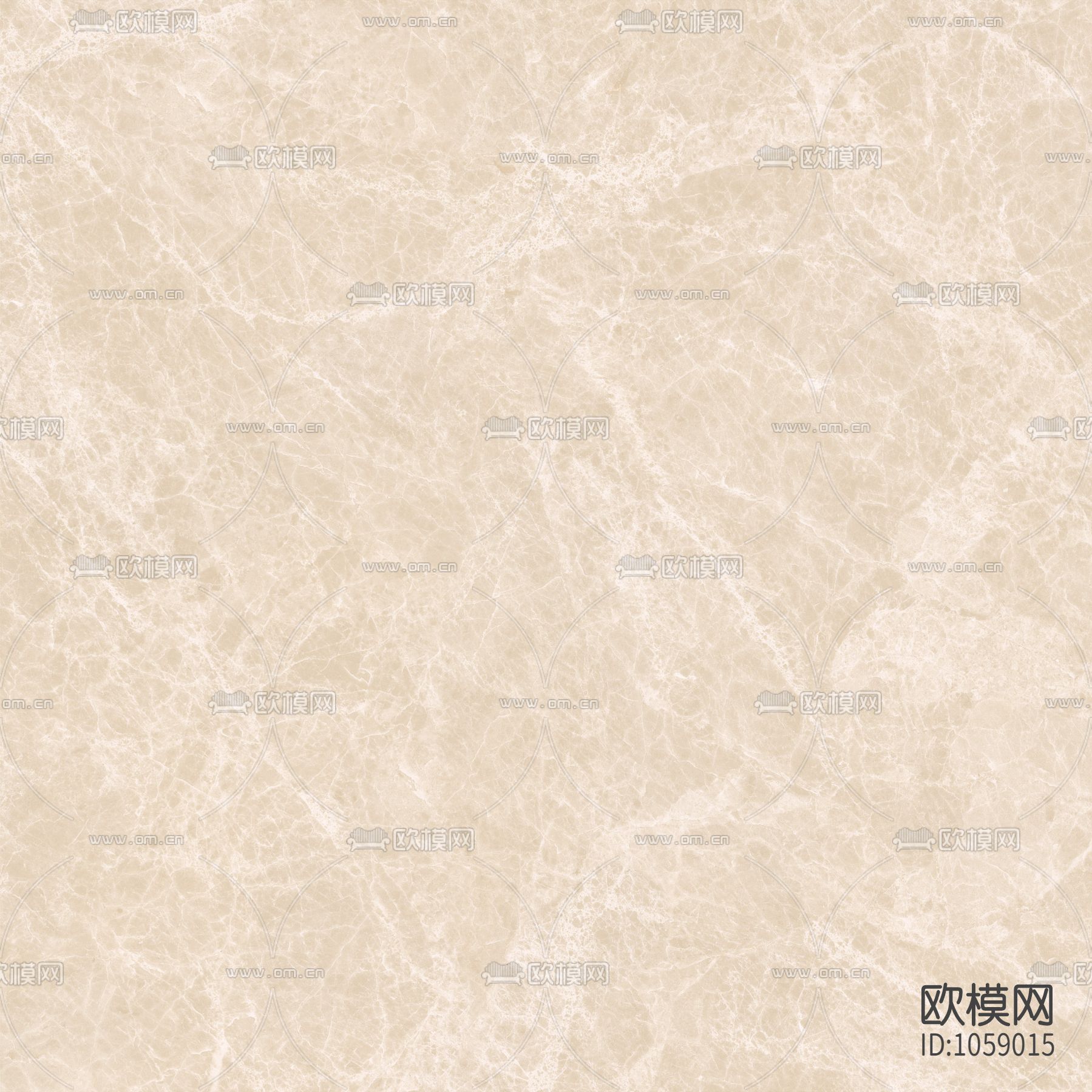 白玉兰