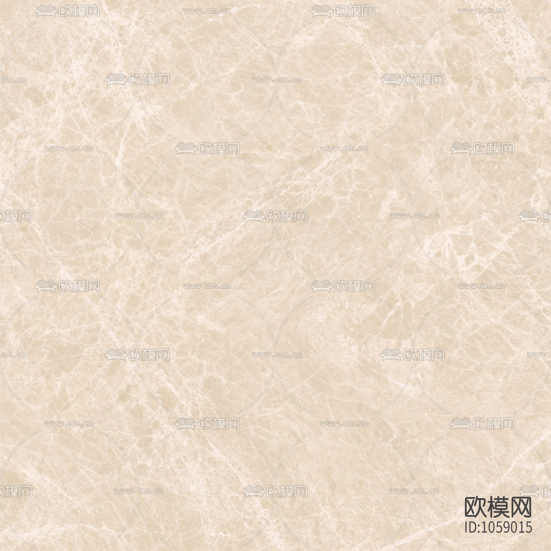 白玉兰