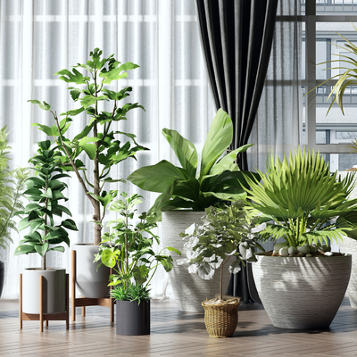 > 原创3d模型 植物3d模型下载 盆栽3d模型下载 现代绿植盆栽组合3d