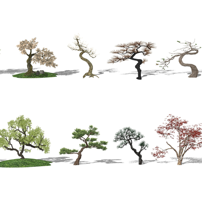  现代景观树植物su模型 