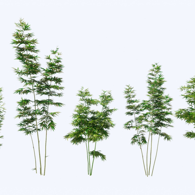  现代景观竹子su模型 