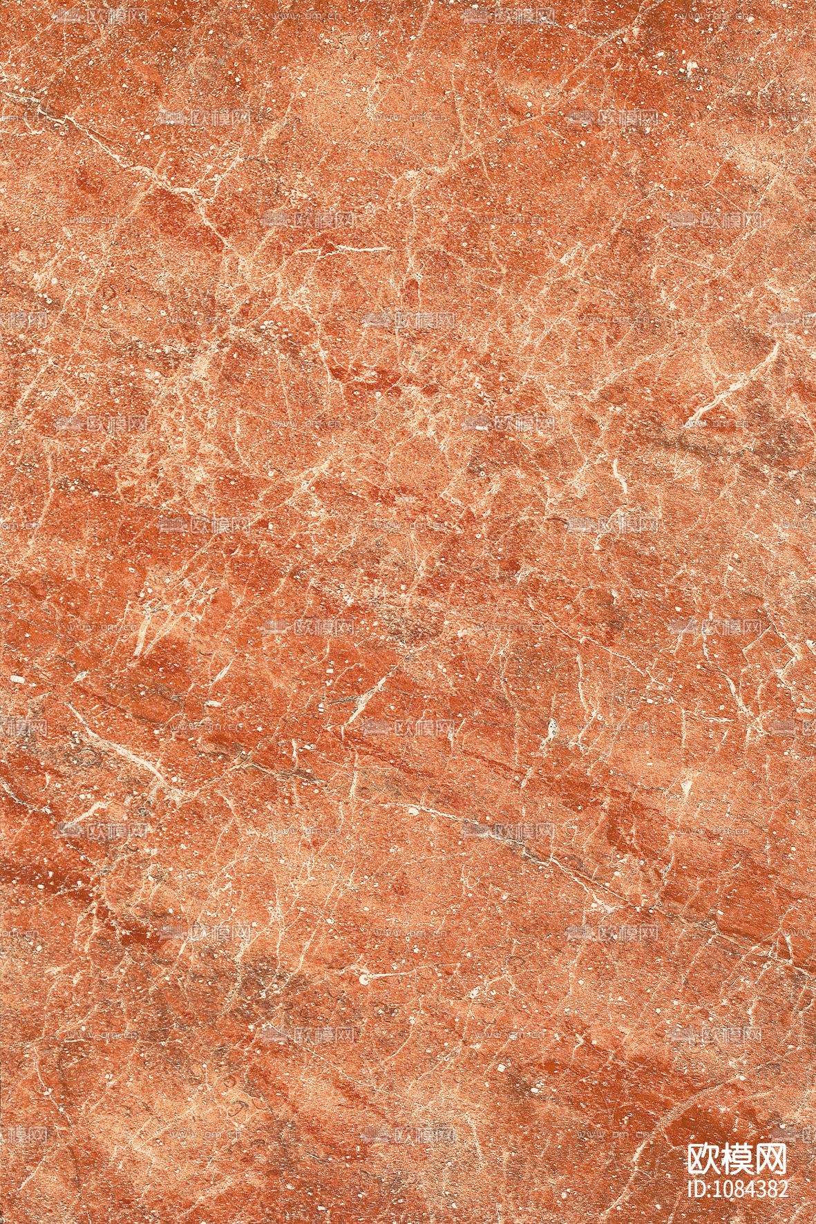 西班牙西施红下载