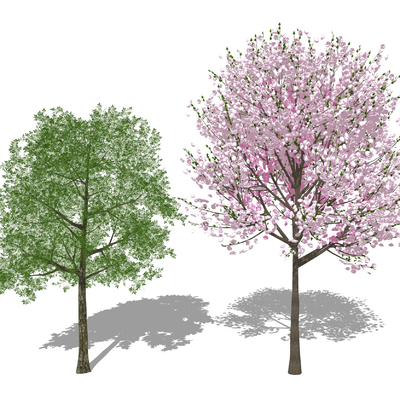  现代桃树景观树su模型 