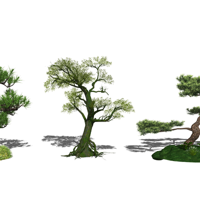  新中式松树su模型 
