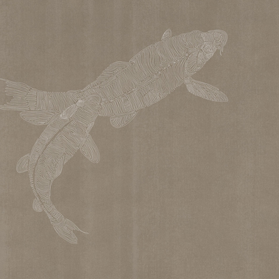  鱼墙纸 