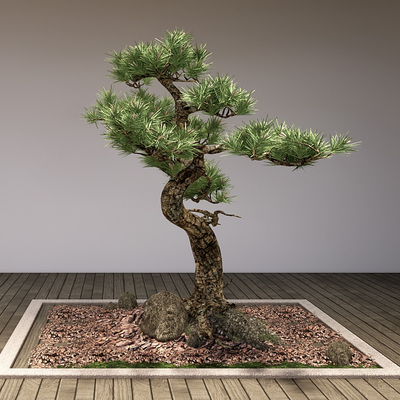  新中式松树su模型 