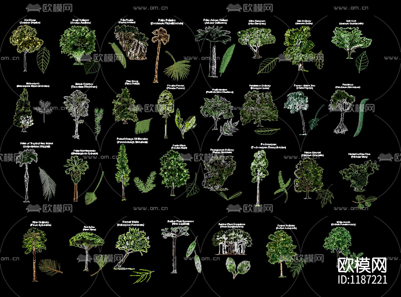景观树树叶植物cad下载（渲染图3）