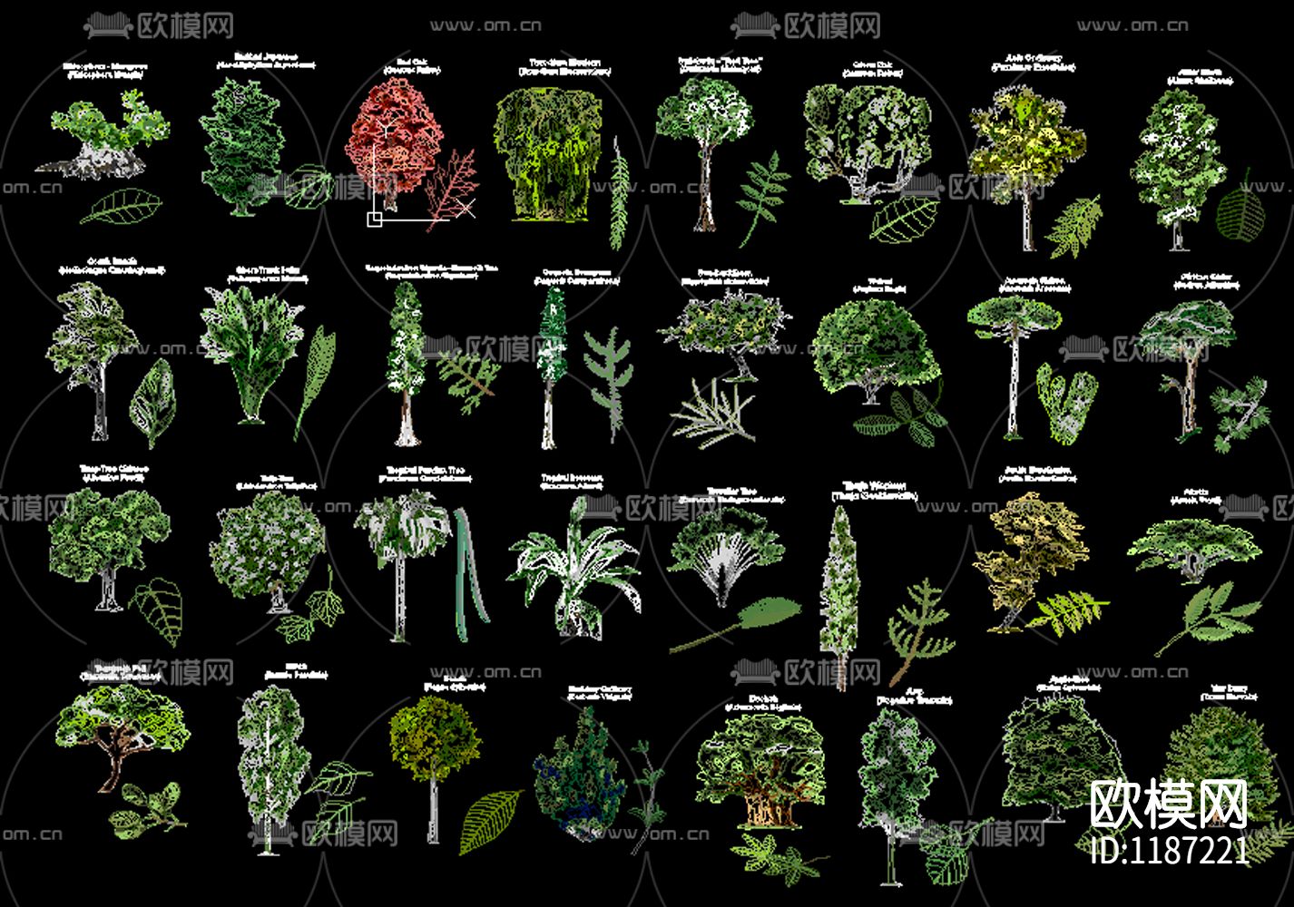 景观树树叶植物cad下载（渲染图5）