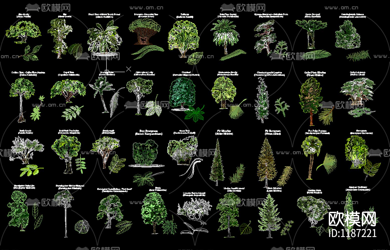 景观树树叶植物cad下载（渲染图4）