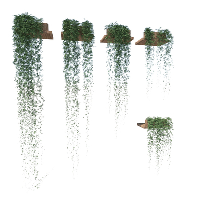  现代植物藤蔓su模型 