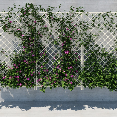  现代花架藤蔓植物su模型 