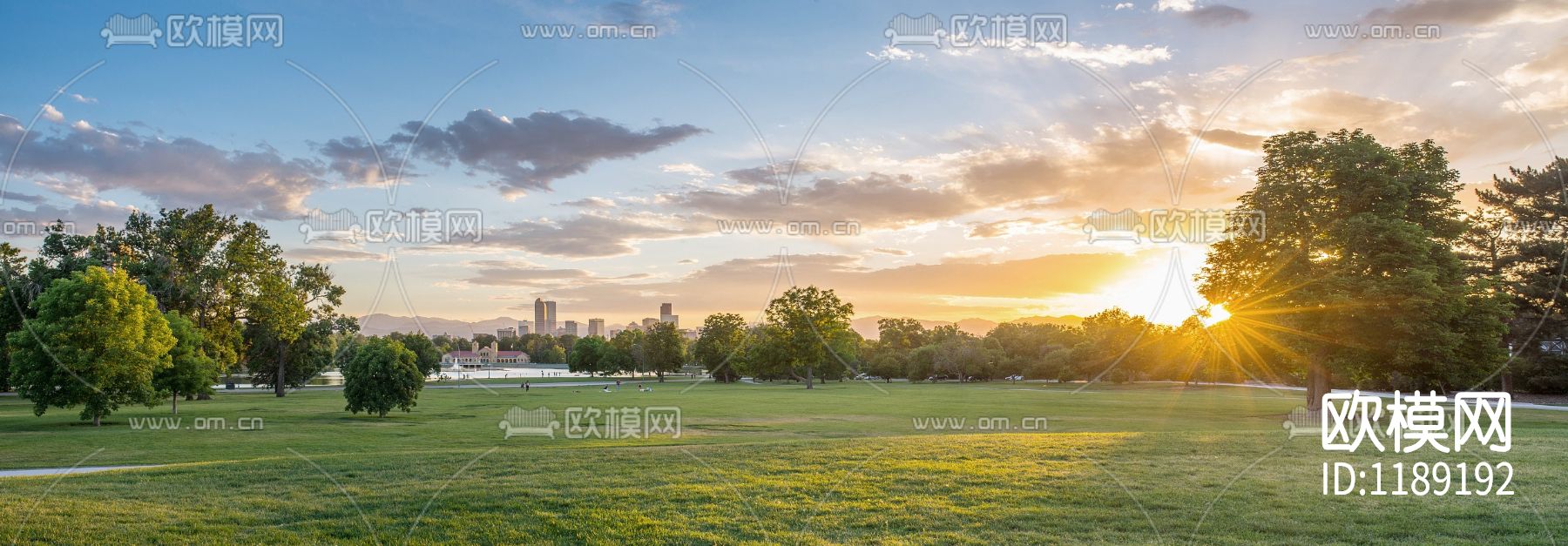 城市公园草地彩云外景