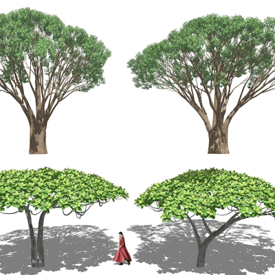 现代景观树su模型