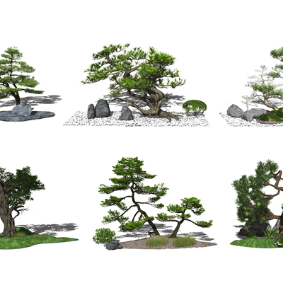 新中式松树景观树su模型 