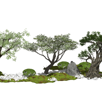  新中式景观树榕树su模型 