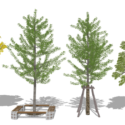 现代景观树银杏树su模型