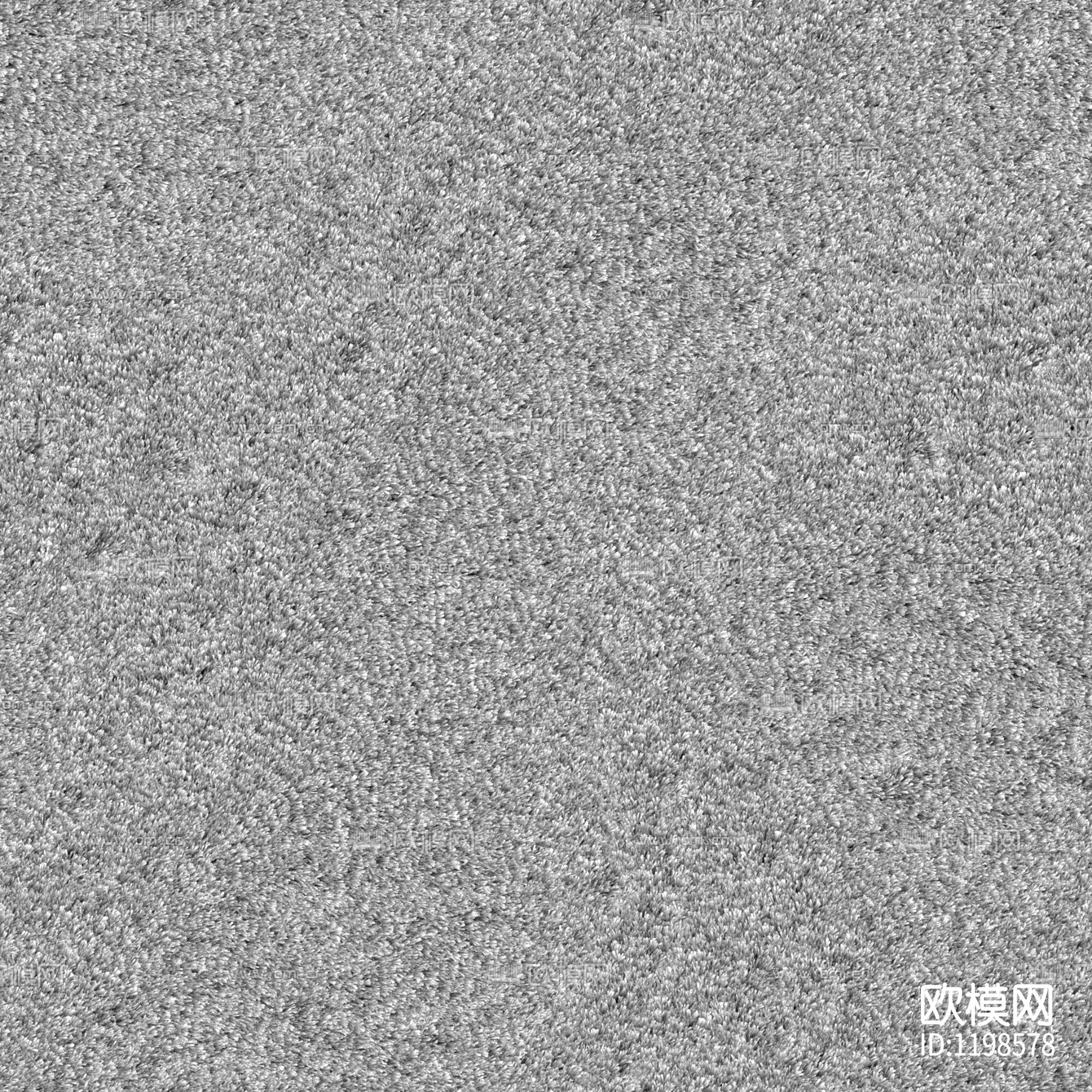 Carpet008_2K_Color