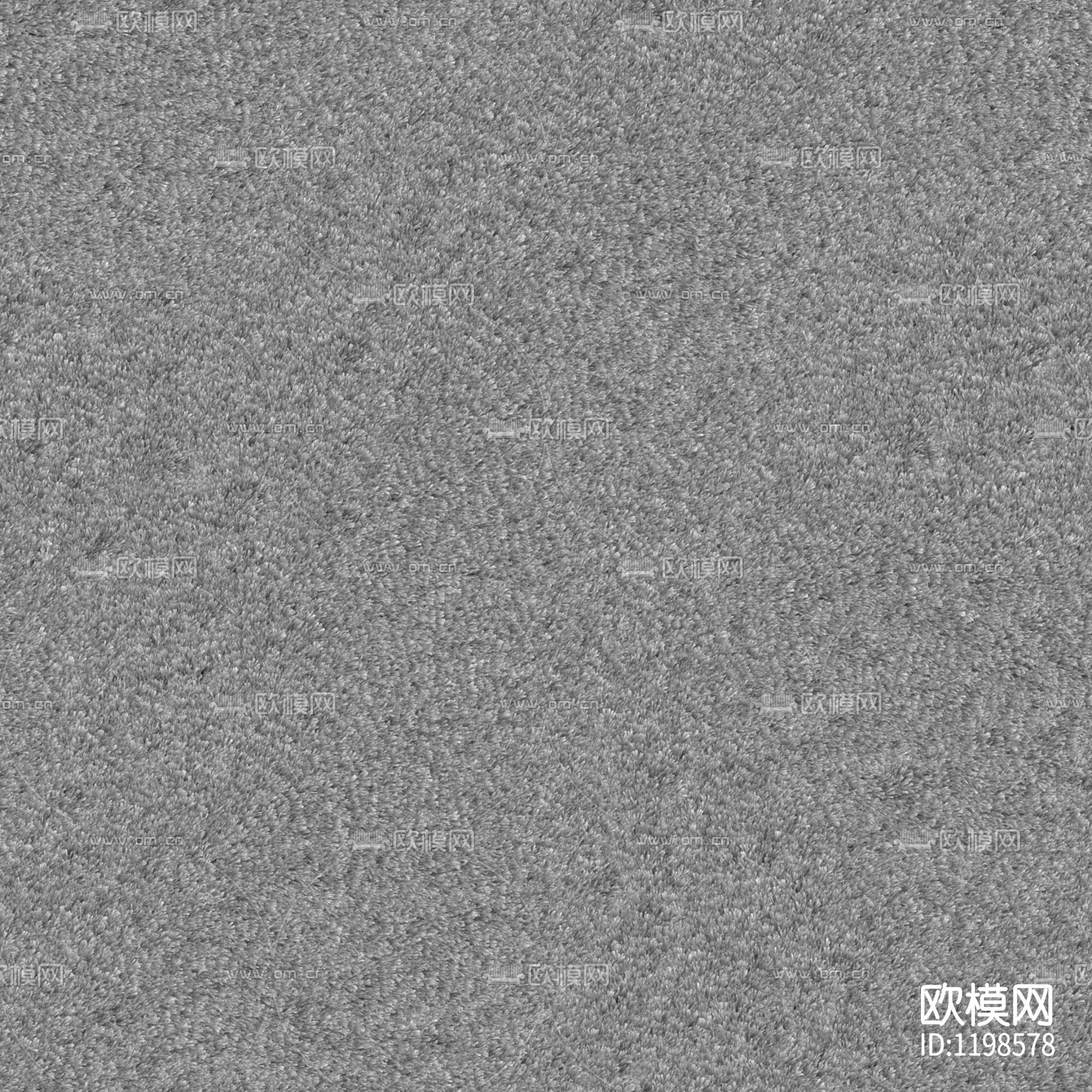Carpet008_2K_Color