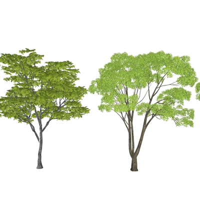 现代景观树su模型