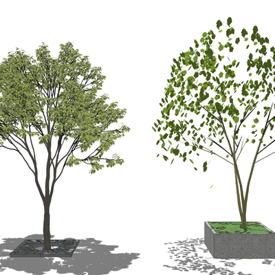  现代景观树su模型 