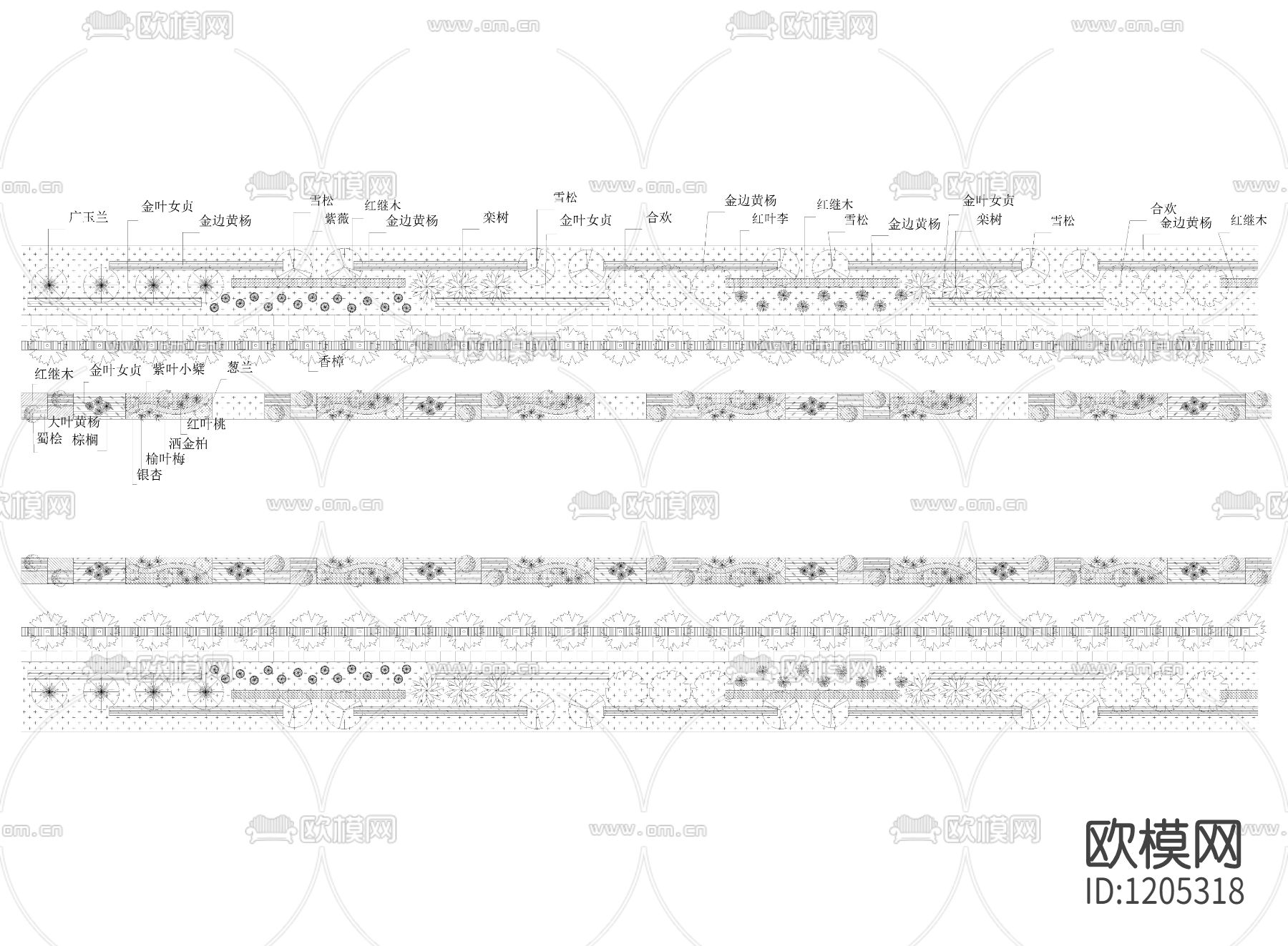 绿化设计道路标准段下载（渲染图1）
