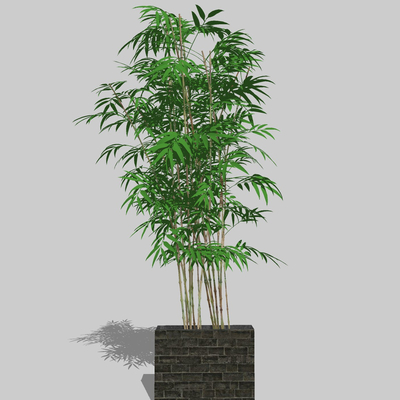  中式竹子su模型 