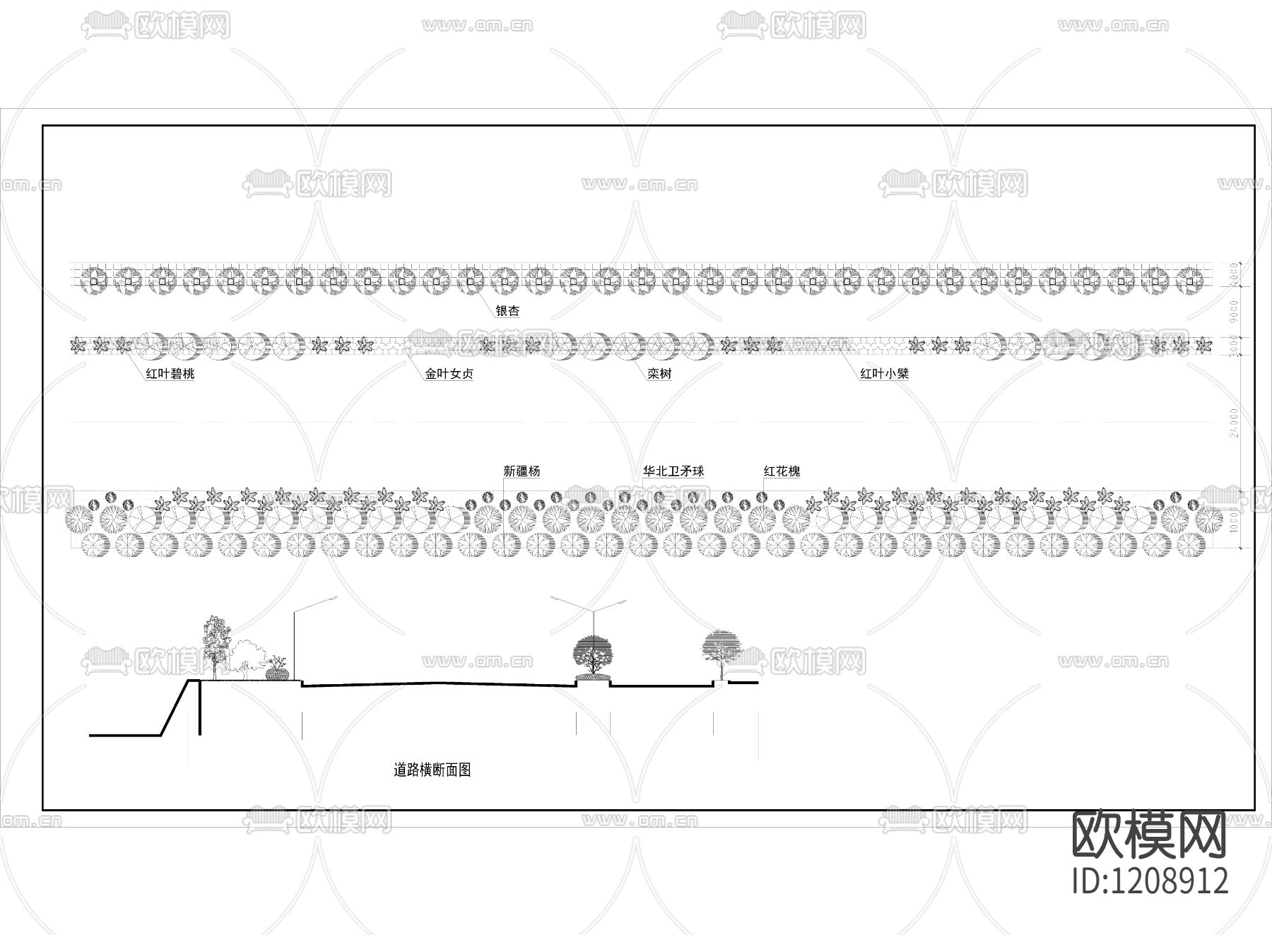 道路绿化标段及横断面图纸