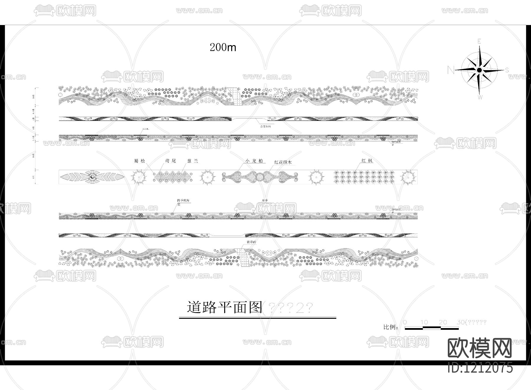 金寨路景观绿化设计平面图下载（渲染图2）