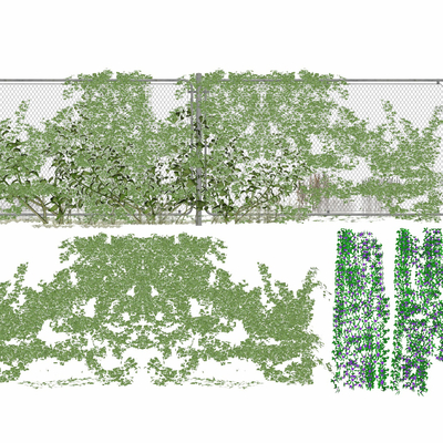 现代藤蔓植物su模型