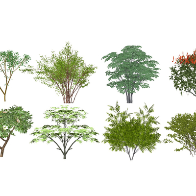  现代球形灌木景观植物su模型 