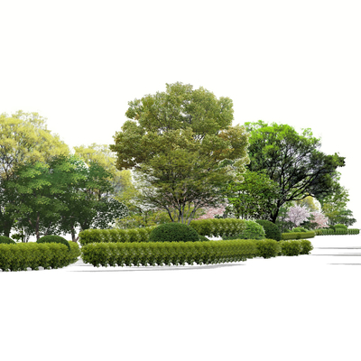 现代松树2d组件su模型