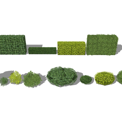  现代绿篱植物灌木su模型 