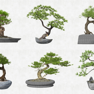 新中式造型松树盆栽su模型