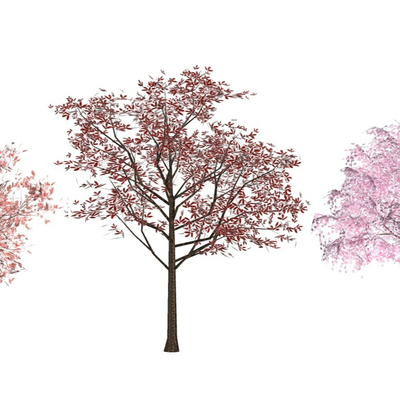 新中式桃树樱花树梨树su模型