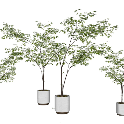 现代植物盆栽su模型