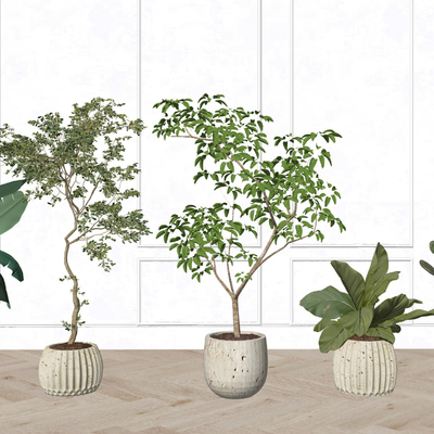 现代绿植盆栽su模型