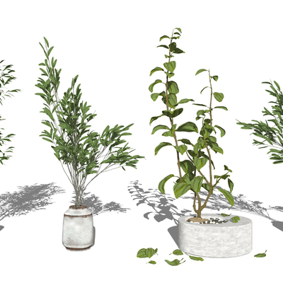 现代植物盆栽su模型