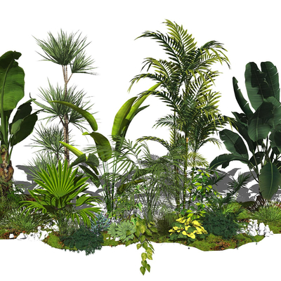  现代花草绿植su模型 