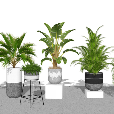 现代绿植盆栽su模型