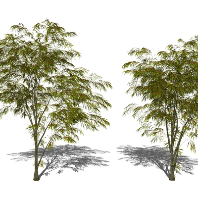 现代景观树su模型