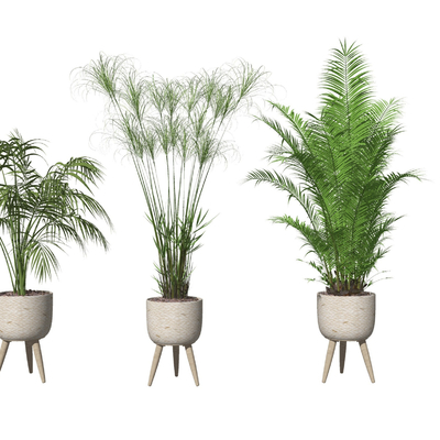 现代绿植盆栽su模型