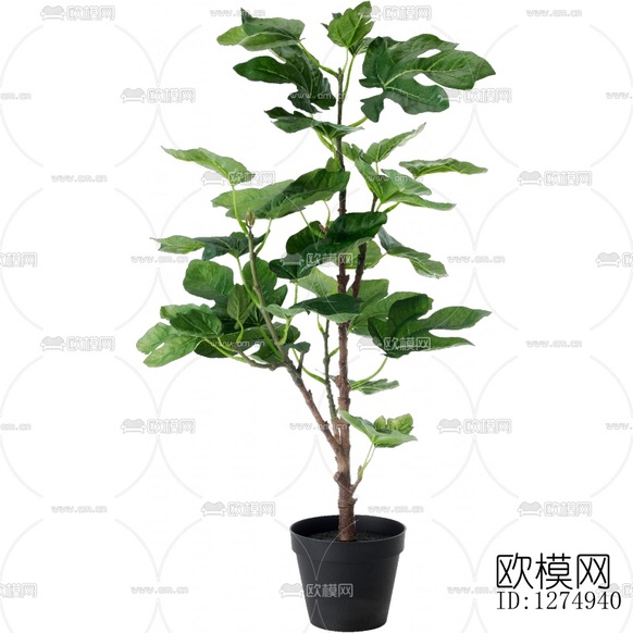 现代简约绿植盆栽下载