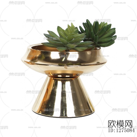 现代多肉盆栽下载